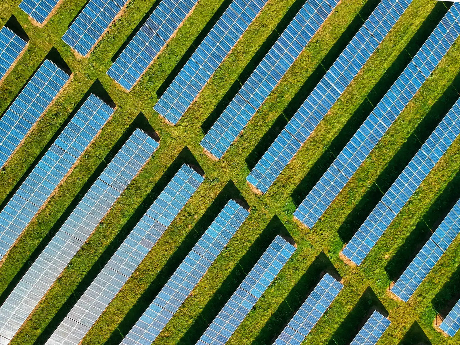 Luftaufnahme eines Solarparks: parallele Modulreihen zwischen Grünstreifen